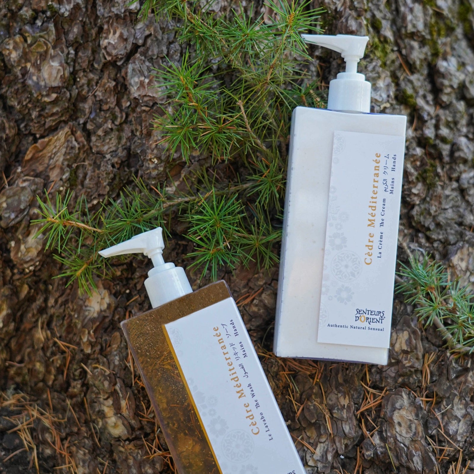 Cèdre Méditerranée Hand Cream