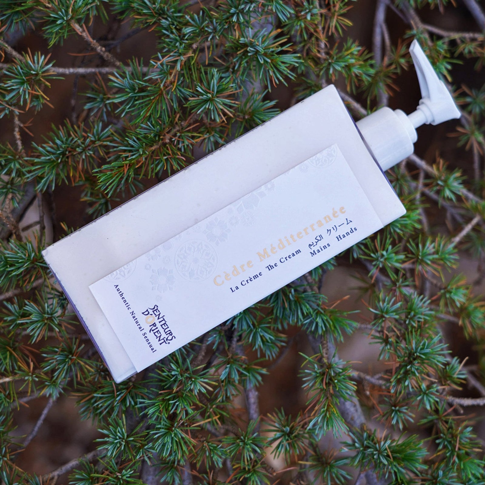 Cèdre Méditerranée Hand Cream