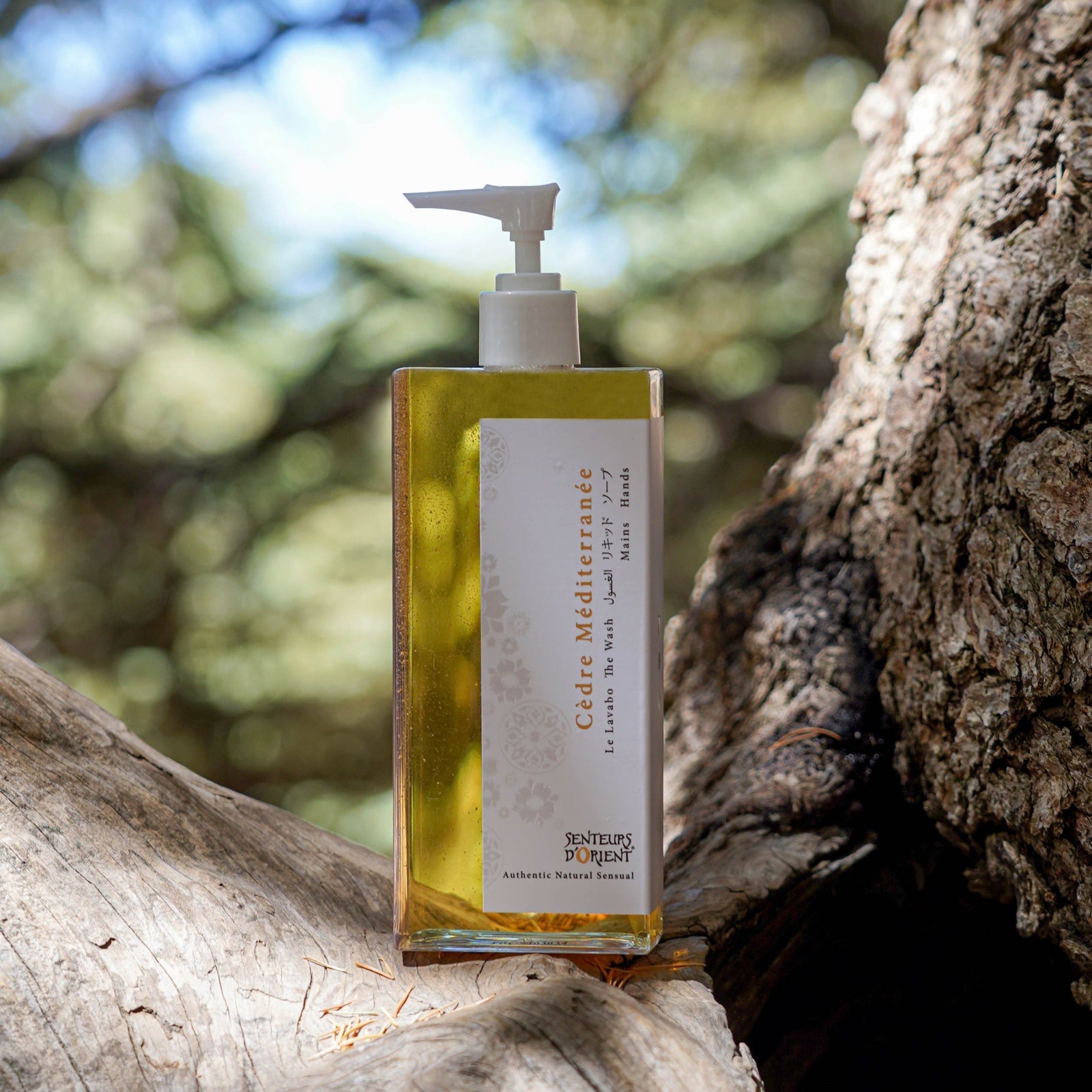 Cèdre Méditerranée Hand Wash